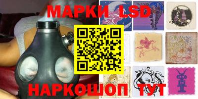 МДПВ Кингисепп
