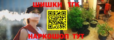 МДПВ Кингисепп