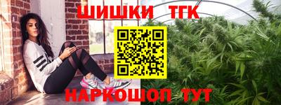 МДПВ Кингисепп