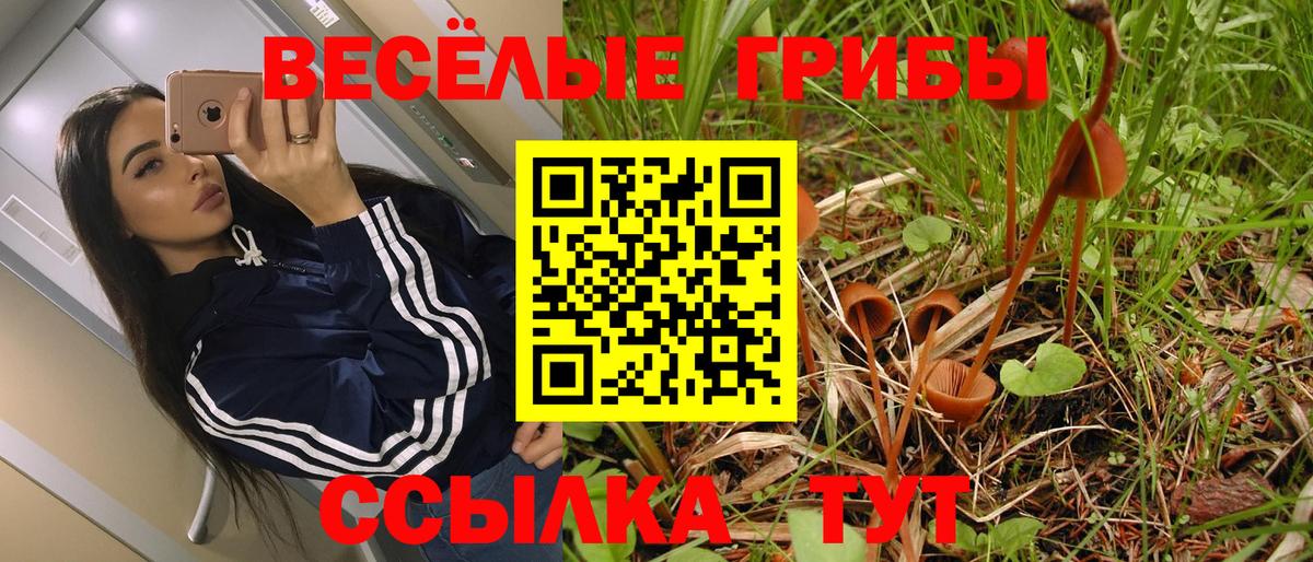 Галлюциногенные грибы Psilocybine cubensis  Вход с VPN  Кисловодск 