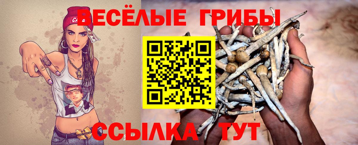 Меф мяу мяу Кисловодск
