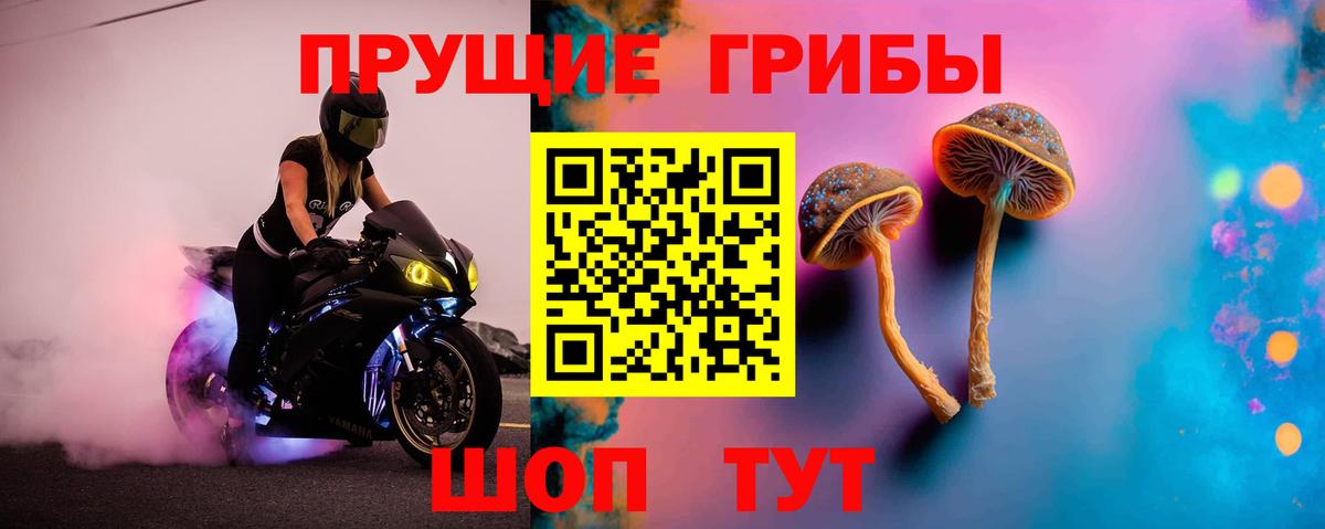 Галлюциногенные грибы MAGIC MUSHROOMS Кисловодск